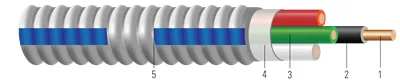 Conductor de cobre THHN/THWN tamaño de circuito tipo MC Duraclad®, colores 120/208V, armadura azul punteada (Dashed-Blue)