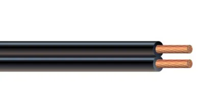 SPT-1