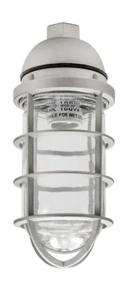 LUMINARIA COLGANTE RESISTENTE A VAPORES 3/4" CON JAULA