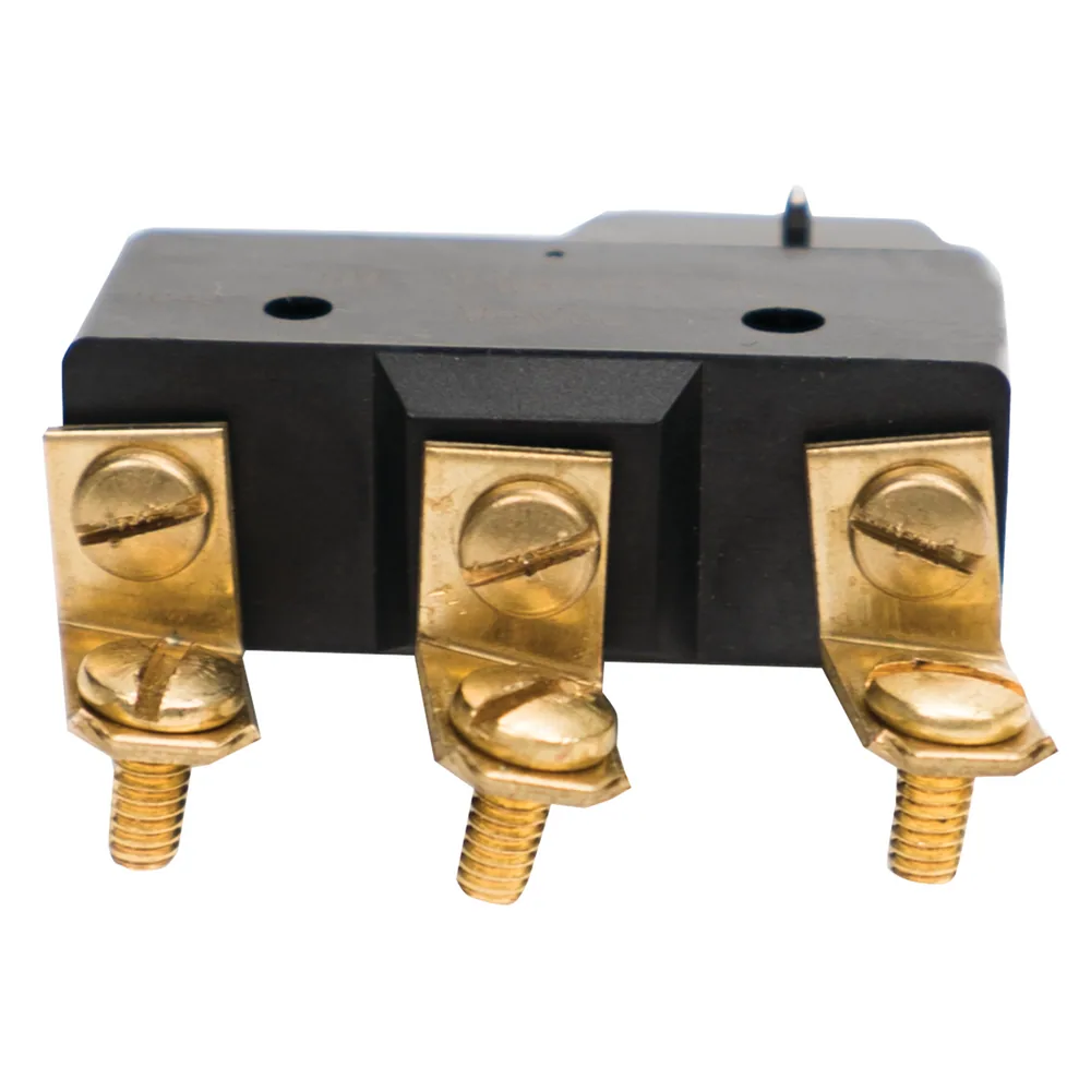 Replacement Switch