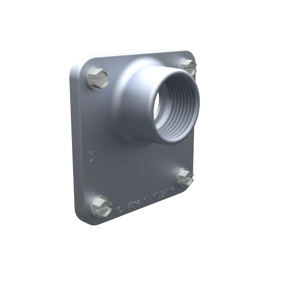 1 INCH HUB AND MOUNTING SCREWS