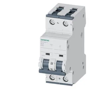 Interruptor termomagnético riel DIN 2 polos 63 A curva C 6 kA