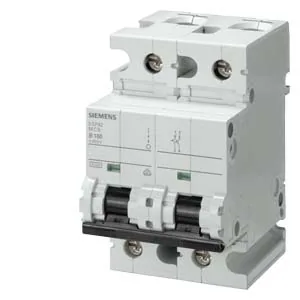 Interruptor termomagnético riel DIN 2 polos 100 A curva C 10 kA