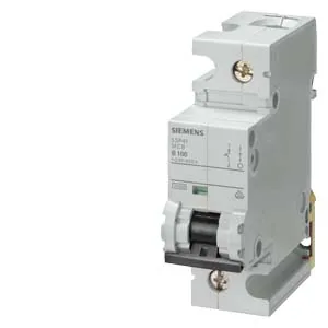 Interruptor termomagnético riel DIN 1 polo 100 A curva C 10 kA